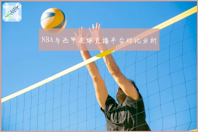 NBA与西甲足球直播平台对比分析